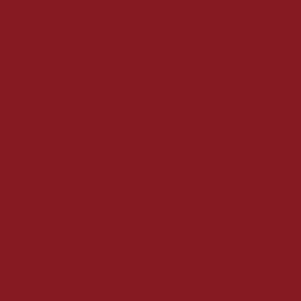 PaintNuts Wood Window & Door Paint - Ruby Red