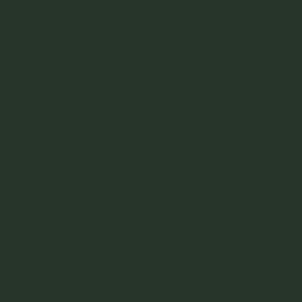 PaintNuts Garden Furniture Paint - Fir Green